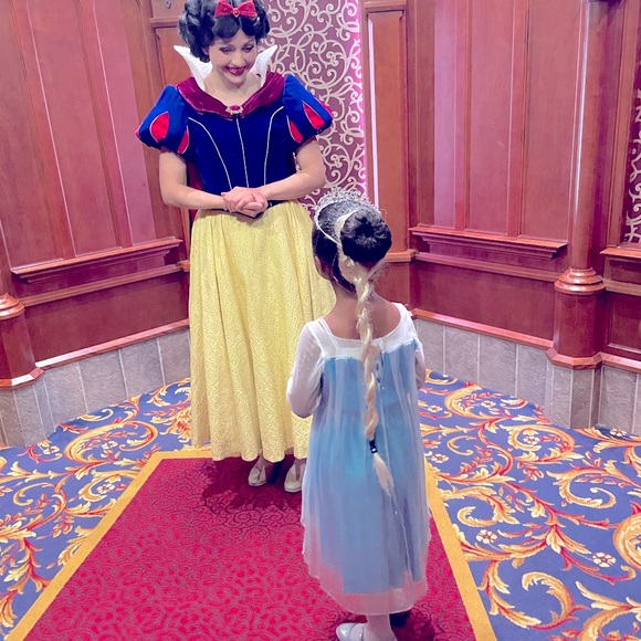 Frozen blue dress with cape - Picture 1 of 5